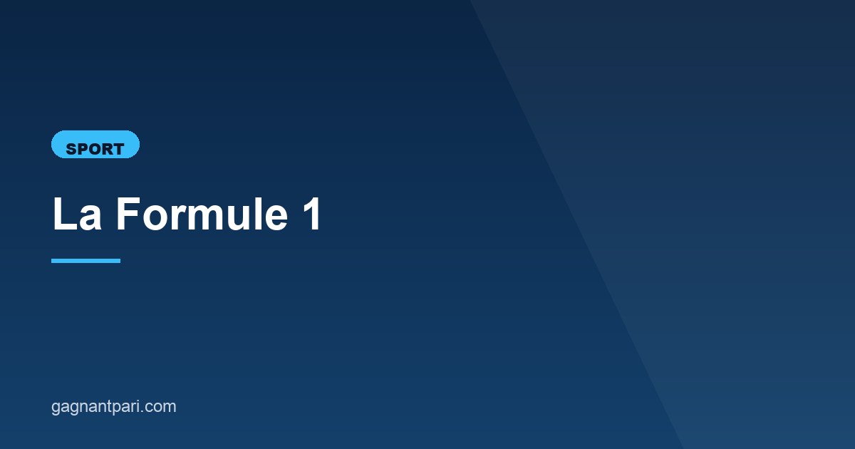 Illustration de l'article consacré à la Formule 1